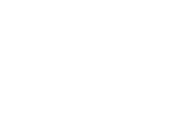 Logo Langhammer Holding